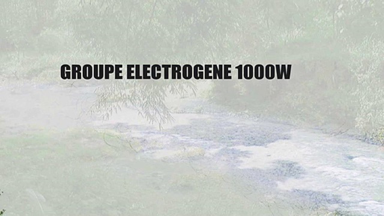 GROUPE ELECTROGENE 1000W