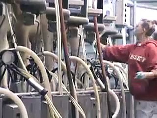 Cal Poly Dairy Morning Milking Crew