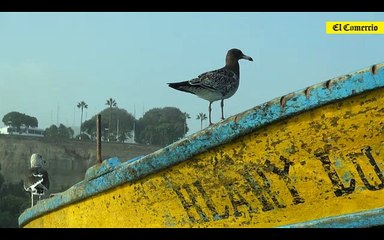 Javier Valle Riestra: El viejo y el mar