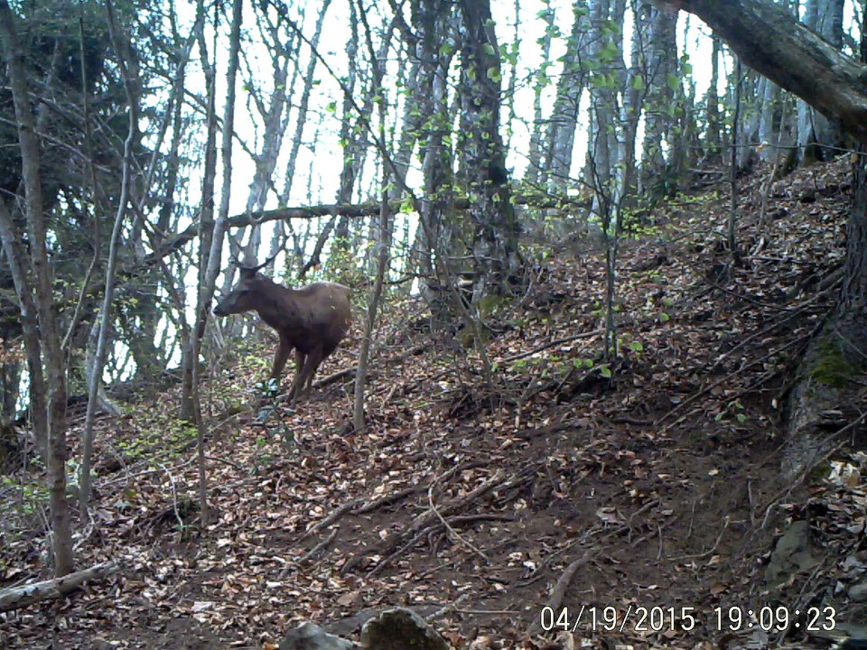 2015_cerf_10c