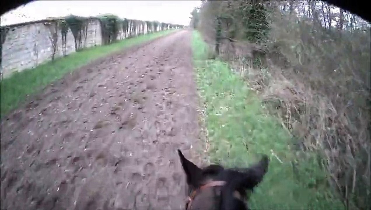 un petit galop avec Prestige