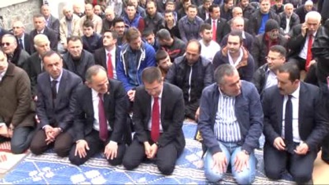 Canikli: Fındıkta Devlet Desteği, Alan Bazlı Destek Uygulanmaya Devam Edecek