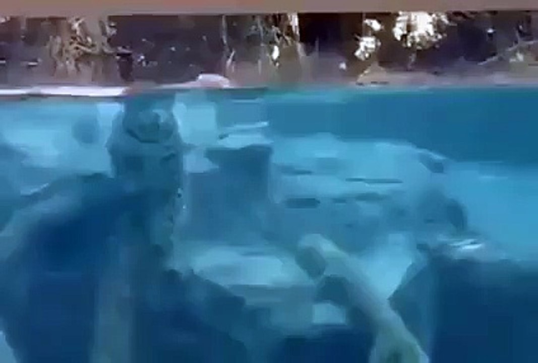 An underwater jaguar