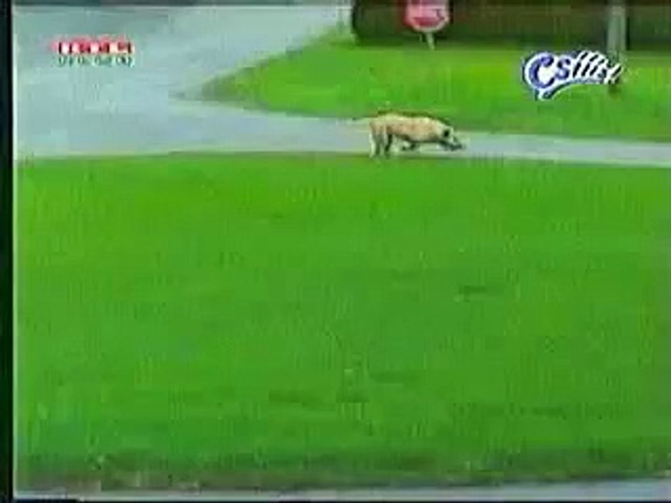 3 seconds make you laugh