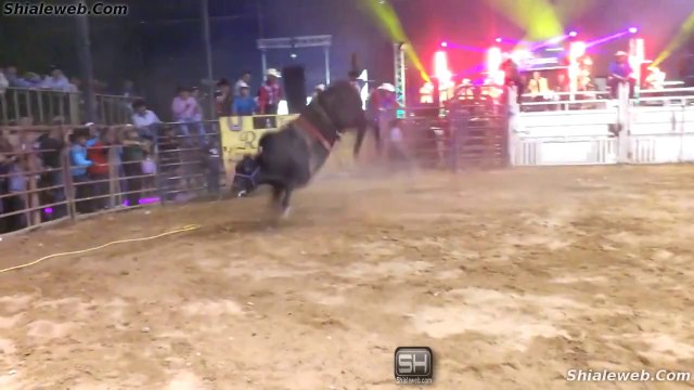JARIPEO RANCHERO EN LA GRAN PLAZA MEXICO JINETE CON ESPUELA LIBRE MONTA A LOS TOROS MAS SALVAJOTES MAYO 2015