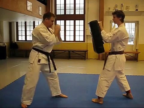 KARATE - Tiger Karate - Shotokan and mix of martial arts