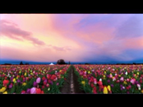 sesliyebak.com sohbet, eylence, müzik