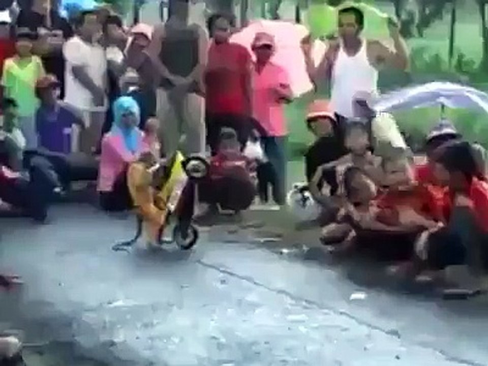 Top Biker