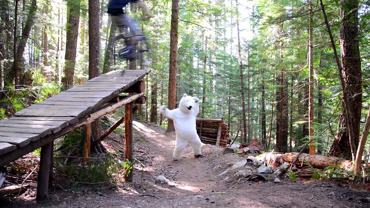 Dancing Bear Music Festival 2015 (Promo) [Video 2]
