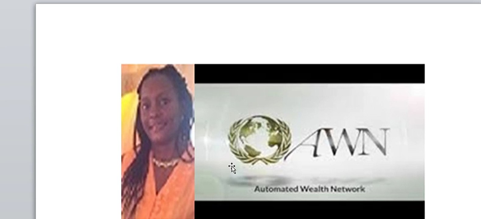 Automated Wealth Network │Automated Wealth Network –A home business