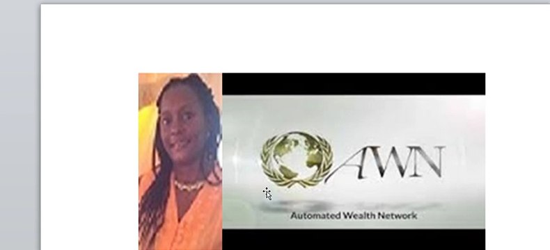Automated Wealth Network │Automated Wealth Network – How to make money online.