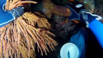 More Lobster Hunting and Kayak Diving with GoPro