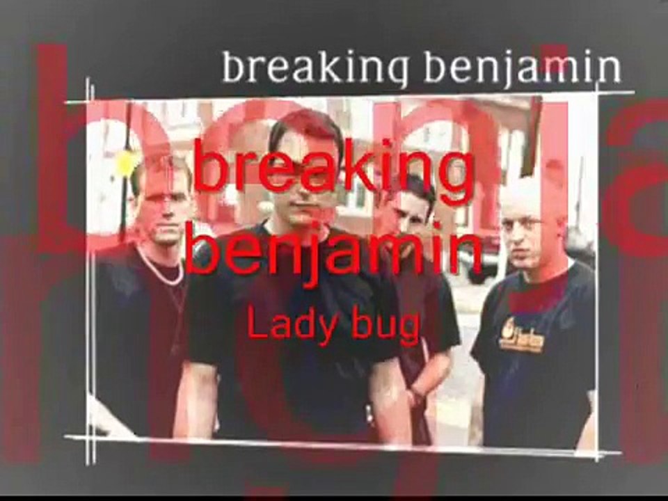 breaking benjamin - ladybug