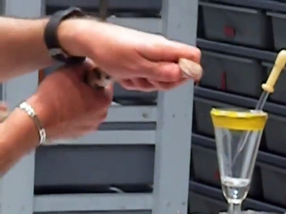 Copperhead venom extraction