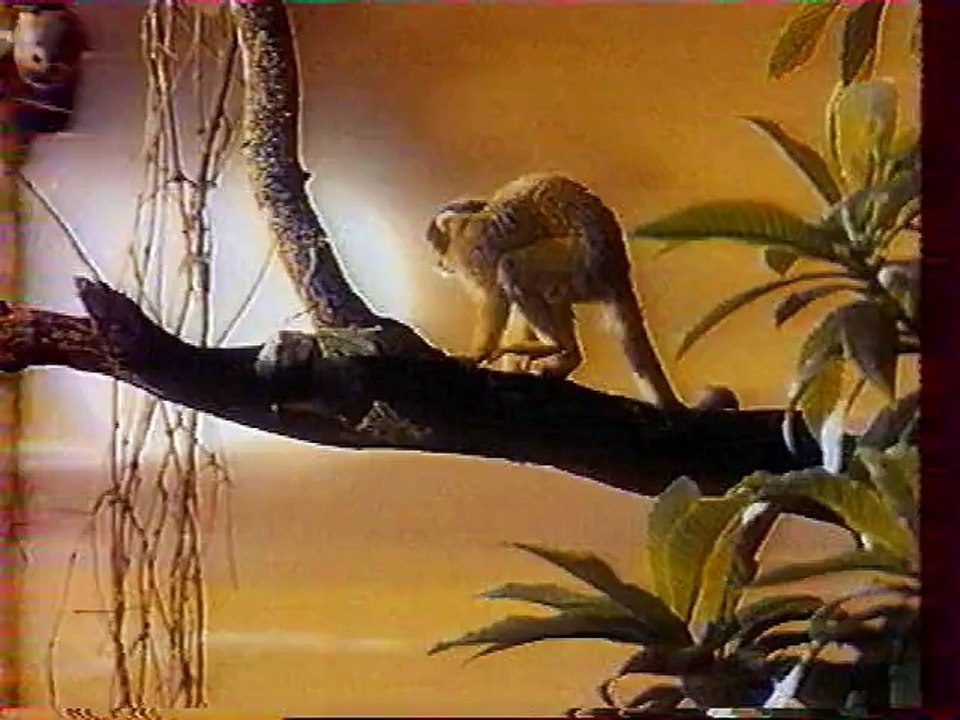 TF1 1er Avril 1990 2 Pubs, 2 B.A., Speakerine, TF1 Nuit