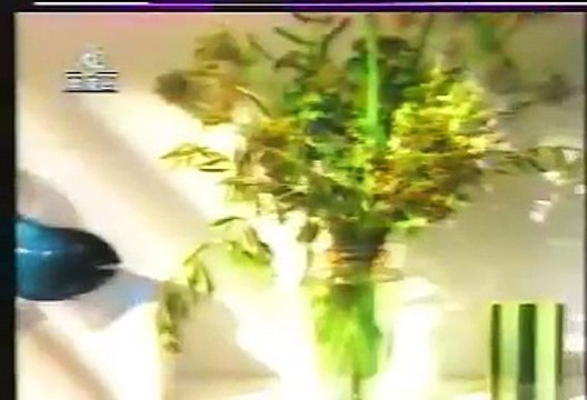 Bed & Breakfast - If You Were Mine