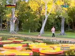 Kara David Encounters Mauricius: An Exclusive Interview 🌍