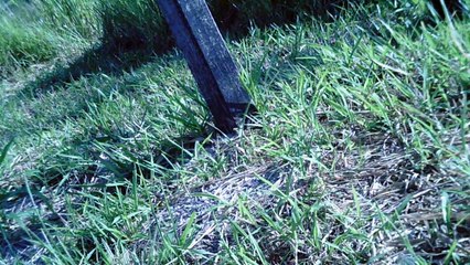 Mtb, 80 km, Trilha da Cachoeira dos Búfalos, Pindamonhangaba, SP, Brasil, Marcelo Ambrogi e os amigos, Equipe Sasselos Team nas trilhas da Serra da Mantiqueira, 01 de maio de 2015, (74)