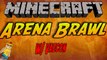 Minecraft Brand New Minigame - ARENA Brawl - W/ Vaecon