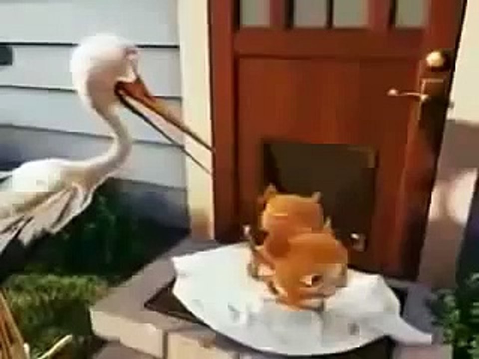 Cartoon about where babies come from pixar