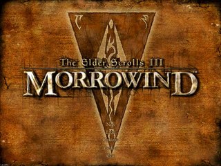 i replaced every sound in morrowind with the tim allen grunt