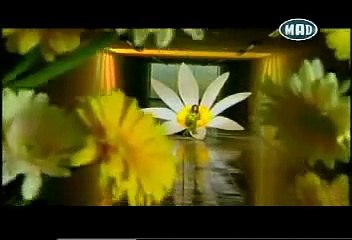 Antzela Dimitriou "Margarites"