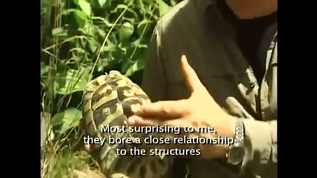 The Universe of Resonance - Cymatics - Harmonics - Sacred Geometry