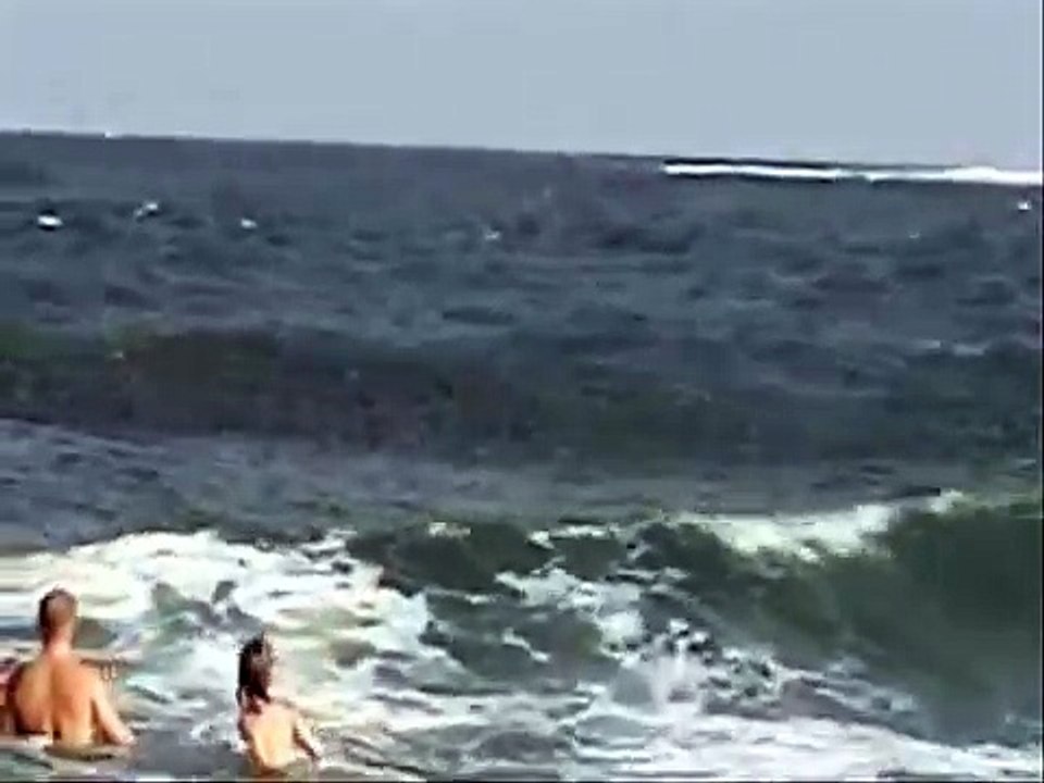 Shark Attack