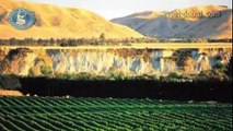 WSET 3 Minute Wine School - New Zealand, presented by Jancis Robinson MW