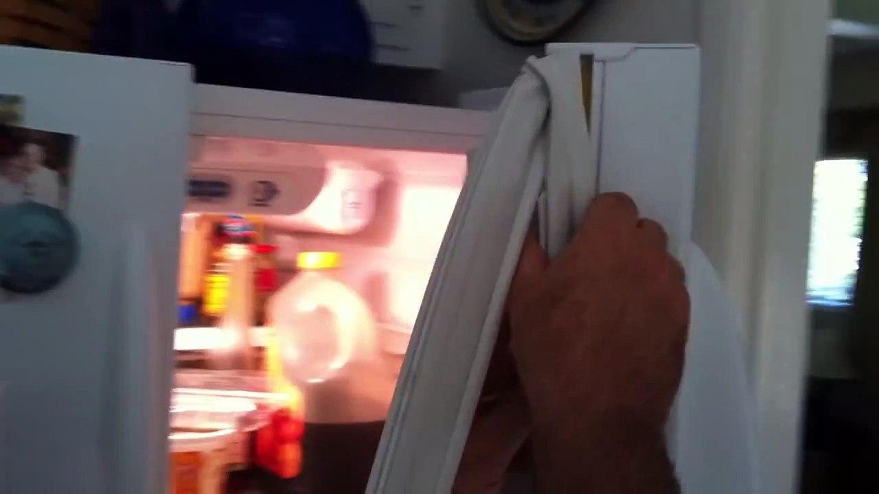 GE Profile French door bottom freezer Model # PFS22MISBWW - door gasket replacement