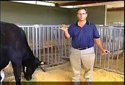 Low-fat Milk Research - Tom Jenkins
