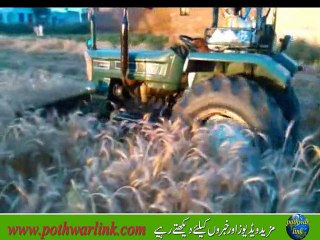 Kandam Ki Katai Machine K Sath