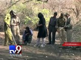 Asiatic lions census begins at Gir sanctuary - Tv9 Gujarati