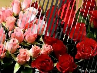 New Pashto Nice Sad Tapy For Musfar Naghma 2015