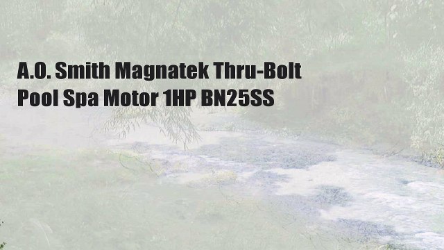 A.O. Smith Magnatek Thru-Bolt Pool Spa Motor 1HP BN25SS