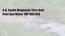 A.O. Smith Magnatek Thru-Bolt Pool Spa Motor 1HP BN25SS