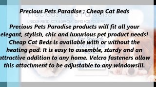 Precious Pets Paradise : Cheap Cat Beds