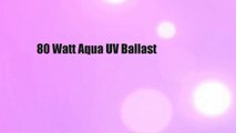 80 Watt Aqua UV Ballast