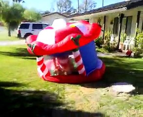 INFLATABLE TOYS GONE WILD