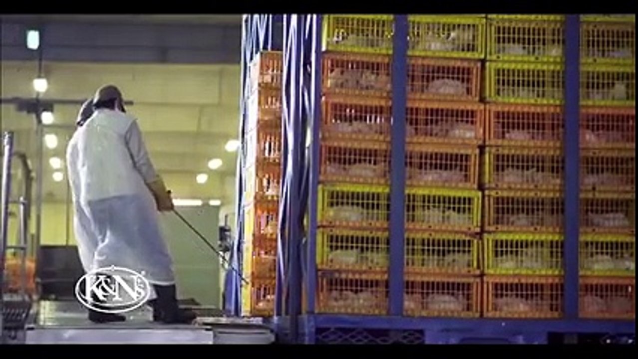 K&N's Foods