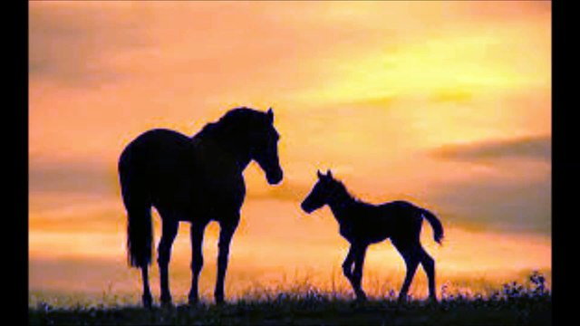 Current 93 & HÖH- Passing Horses