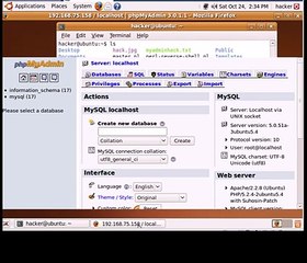 Phpmyadmin Hack