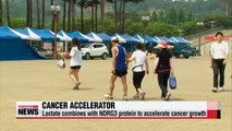 Korean scientists discover cancer accelerating protein is boosted by lactate