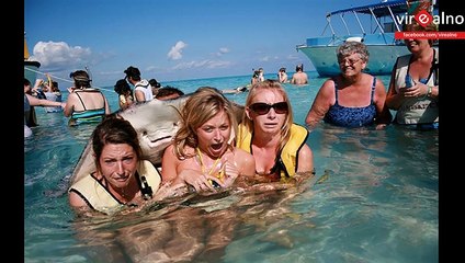 Best Animal-Photobombs On The Internet