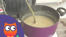 Comment faire et utiliser de la bouillie nantaise (Ooreka.fr)