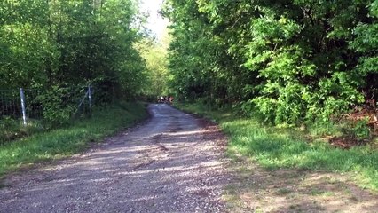 Passage 2ème km Trail malpassant Voglans voglanaise 2015