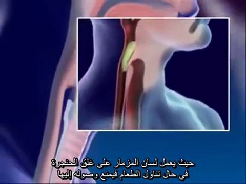 التنفس و الجهاز التنفسي...... Respiratory system