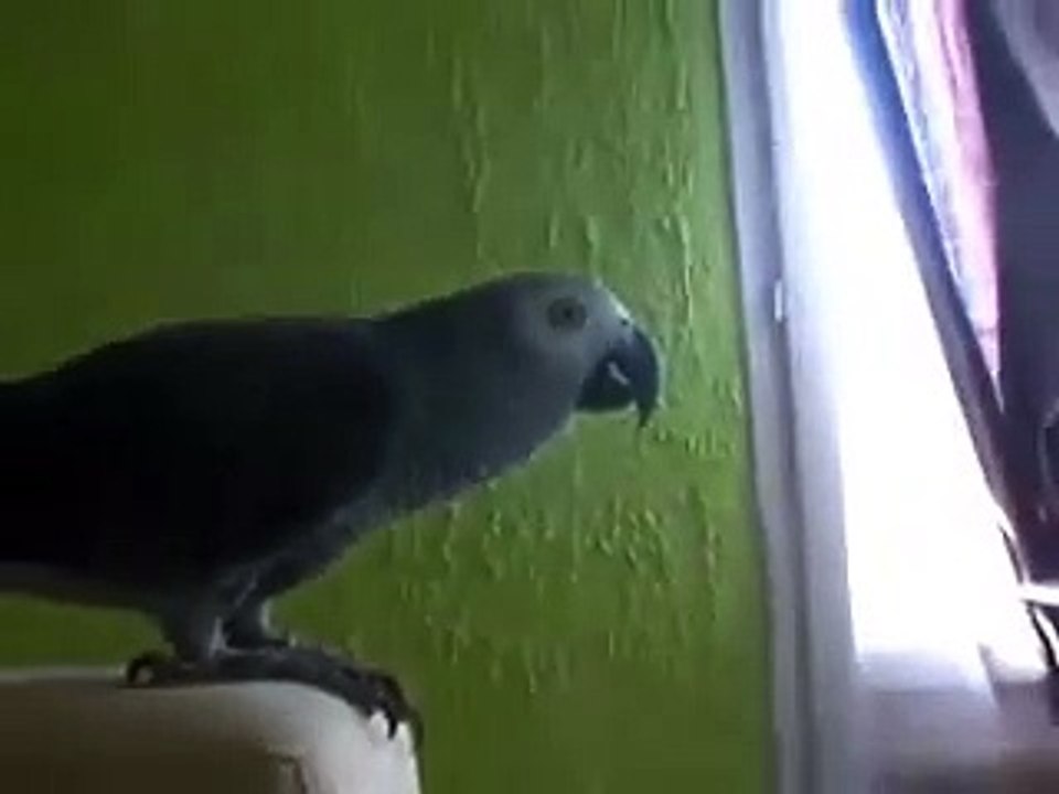 gandalf qui parle et parle...