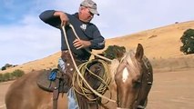 Soft hands make Soft Horses - Smooth and soft Rein control - Rick Gore Horsemanship