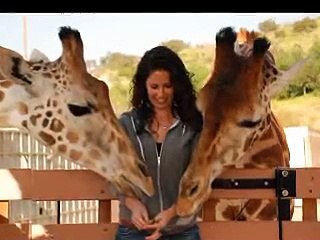 San Diego Zoo Safari Park